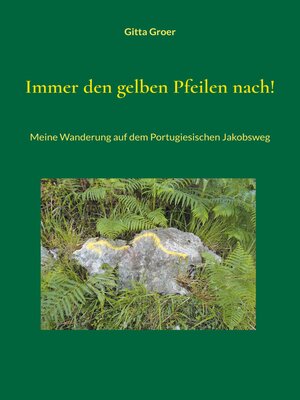 cover image of Immer den gelben Pfeilen nach!
